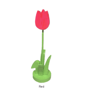 Red tulip