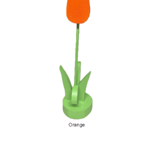 orange tulip